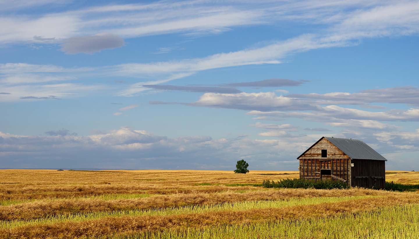 picture of cabin on the praries